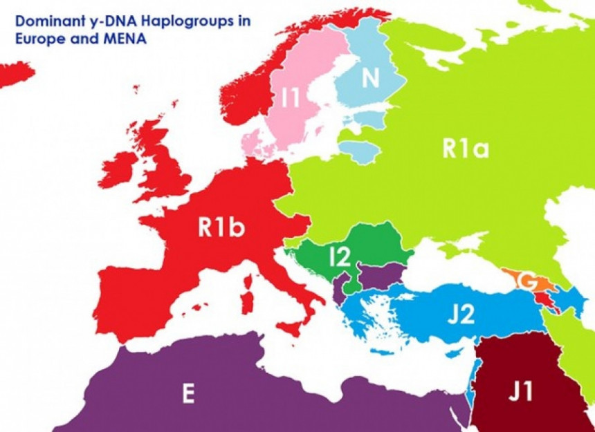 Како изгледала генетска Европа
