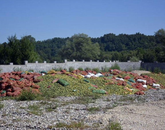 Zvornik:Bacili 400.000 kilograma krastavca 