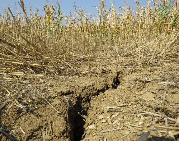 Суша "појела" 525 милиона евра