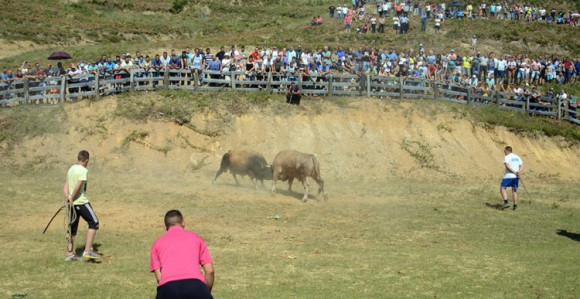 Održana 247. Grmečka korida
