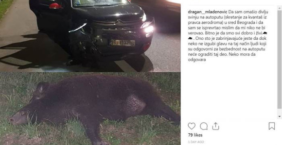 Mladenović u Beogradu udario divlju svinju!