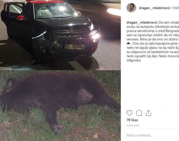 Mladenović u Beogradu udario divlju svinju!