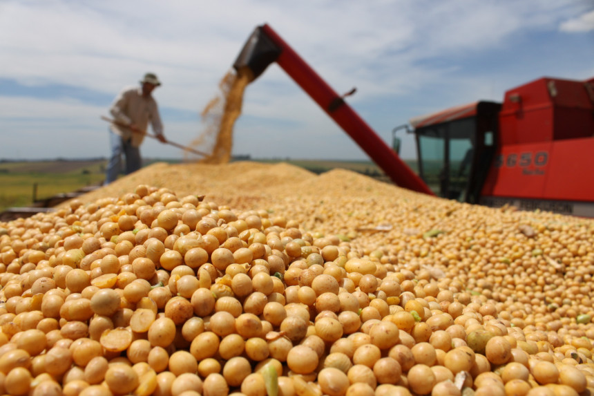 GMO soja se uzgaja u sedam opština Srpske