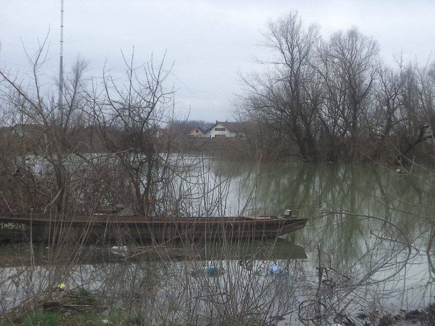 Vrbas stagnira, Sava raste
