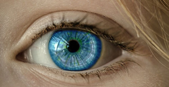 U koferu nosila ljudske ćelije