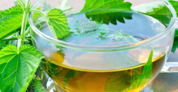 Čajem od koprive protiv anemije, upala i prehlade