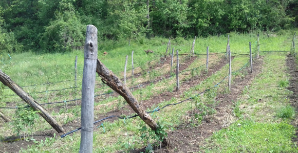 Grad napravio haos seljanima