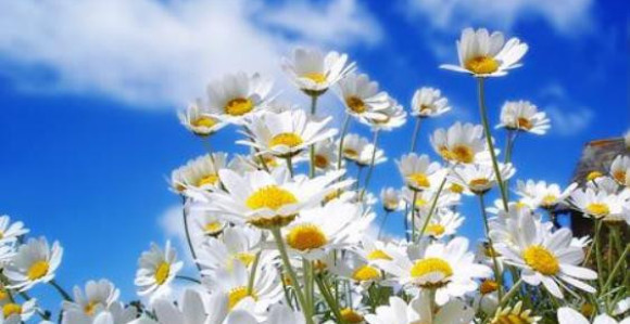 Sunčano i lijepo vrijeme u BiH