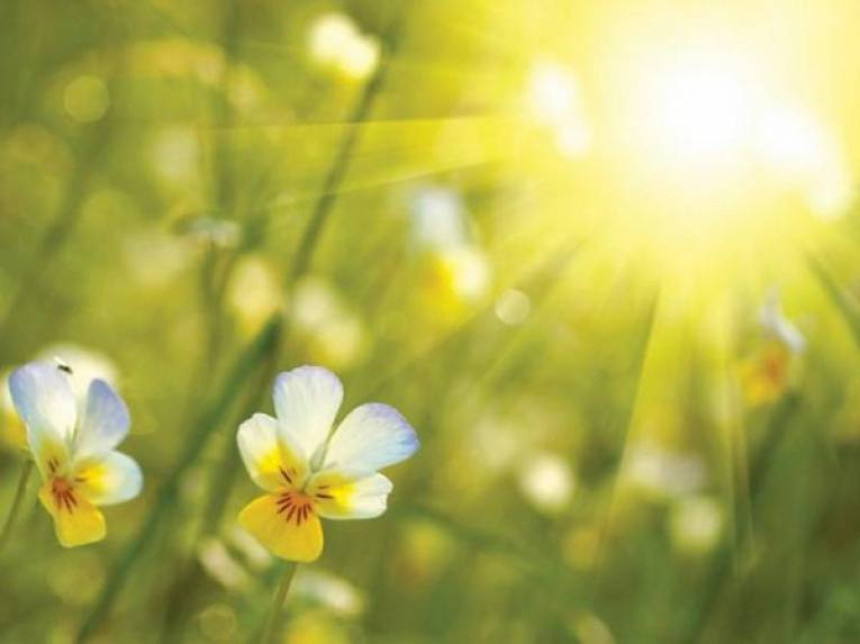 Спарно и топло вријеме у БиХ