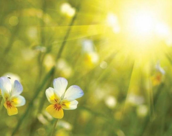 Спарно и топло вријеме у БиХ