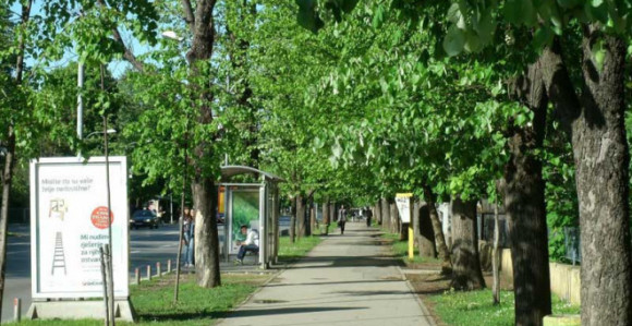 Drvoredi posljednji put kontrolisani 2001.