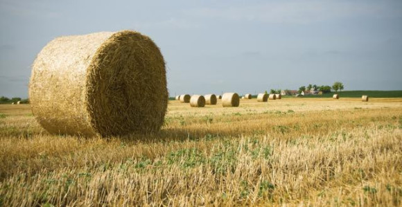 Selo napušteno, a kuća 70.000 €