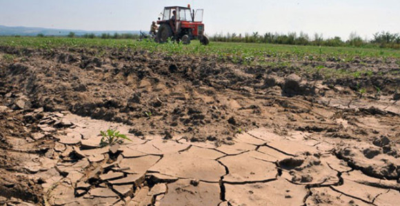 Opasne klimatske promjene 