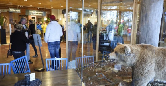 Medved ugrizao čuvara