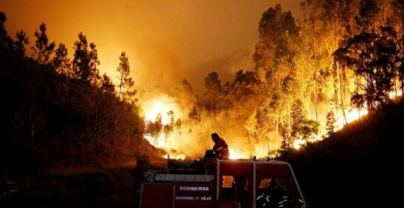 Veliki šumski požar na granici