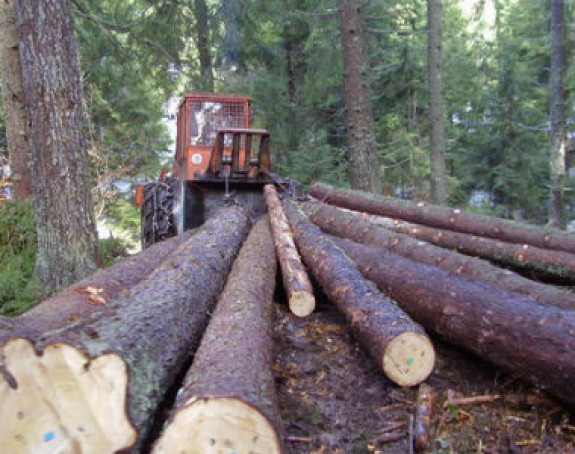 Š.G. "Oštrelj": Zahtjev za smjene 