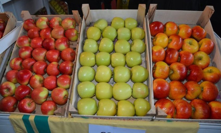 BiH u Rusiju izvezla prve količine voća