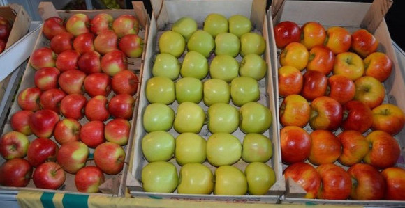 BiH u Rusiju izvezla prve količine voća