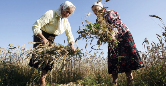 Žene na selu: Bez plate i penzije