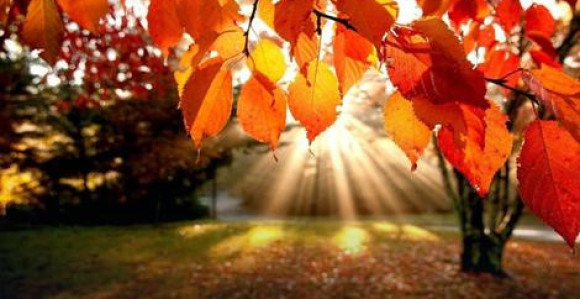 Temperatura do 20 stepeni