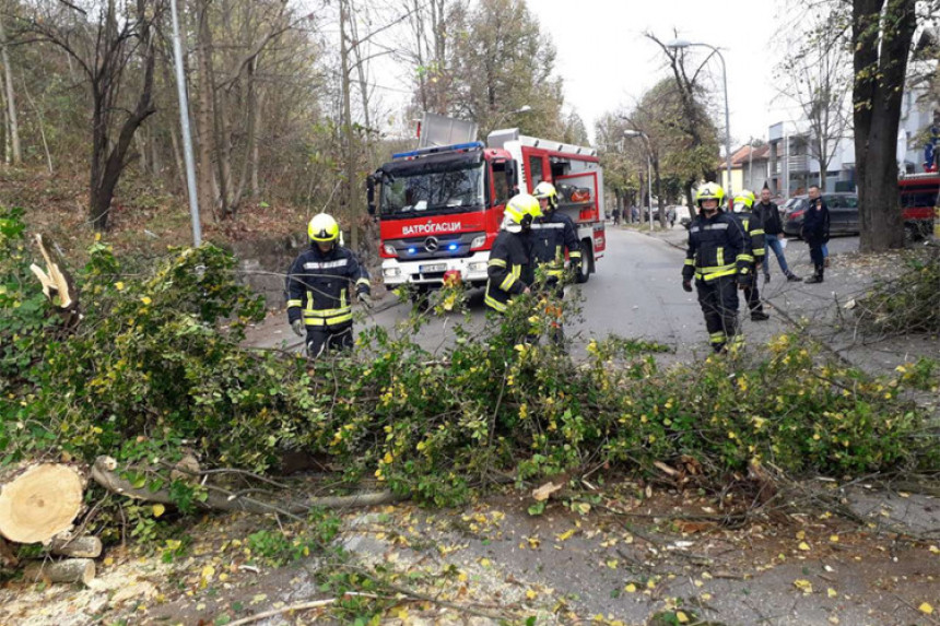 Срушило се дрво у Бањалуци