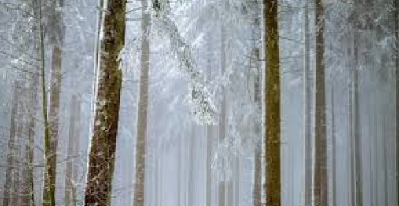 Žuti meteolarm u BiH zbog magle i niske temperature