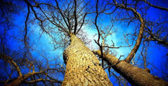 Danas suvo i sunčano vrijeme