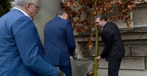 Vučič unio badnjak u zgradu