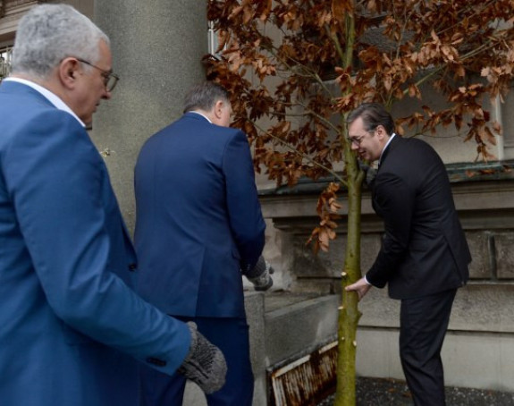 Vučič unio badnjak u zgradu