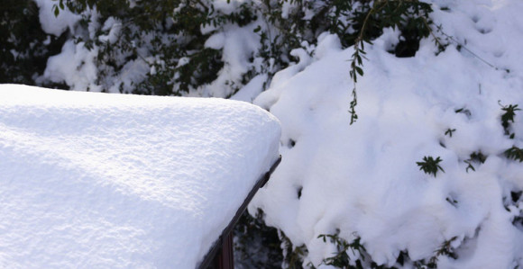 Majka i sin čudno stradali kod kuće
