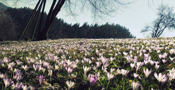 U BiH malo oblaka, a više sunca 
