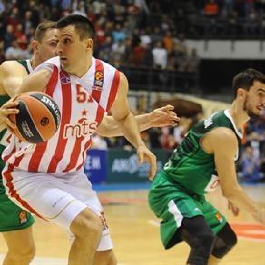 EL - Bjelica: Favoriti su, ali idemo bez bijele zastave!