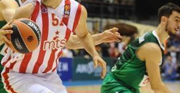 EL - Bjelica: Favoriti su, ali idemo bez bijele zastave!