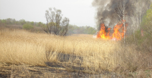 Nova inicijativa za spas rezervata Bardača