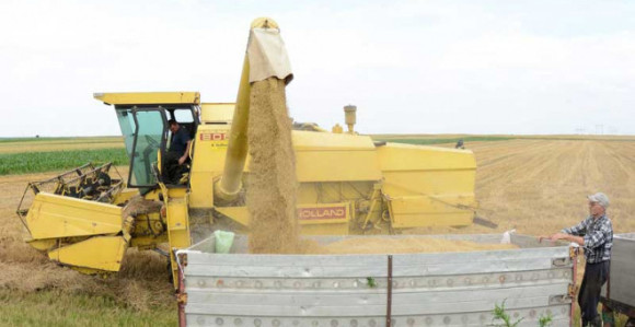 Dugovi Vlade tjeraju ratare sa njiva na ulice