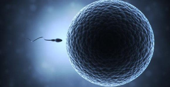 Žene, ne morate da ležite radi začeća