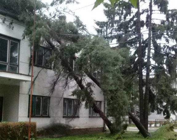Nevrijeme u Prijedoru nosilo i drveće