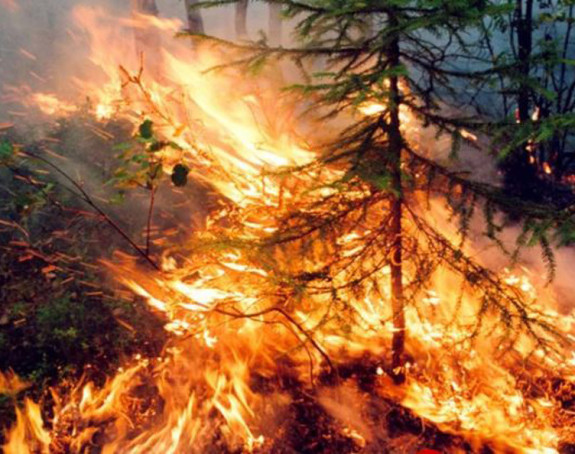 Rusija u plamenu: Sibir je i dalje okovan vatrom
