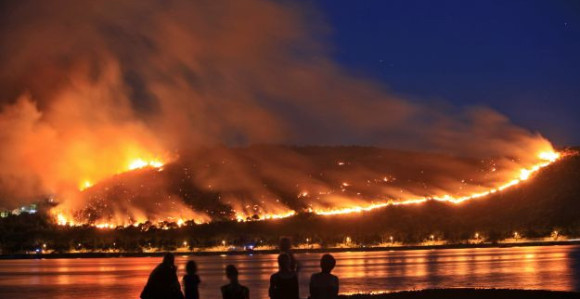 Požar uništio 1.000 hektara vegetacije
