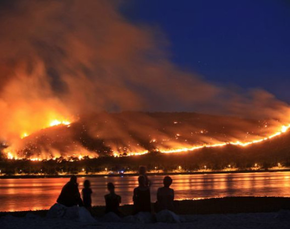 Пожар уништио 1.000 хектара вегетације