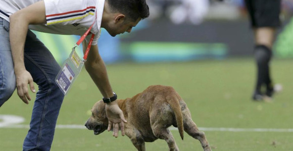 Видео: ЦУКО је био слободан, али га Нејмар није видио!