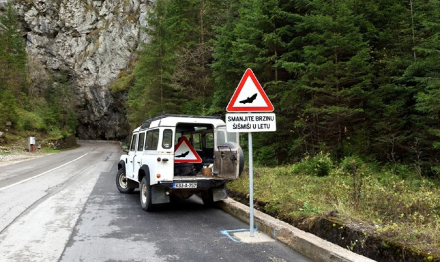 BiH prva na svijetu sa znakom upozorenja na šišmiše