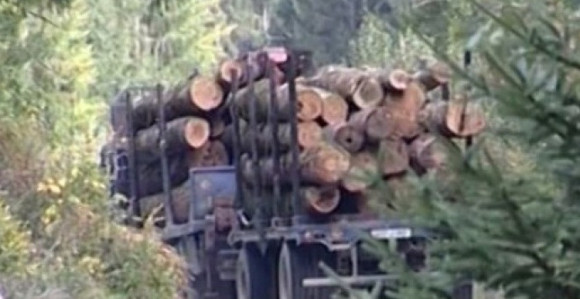 Pretukli šumara pajserima i oštetili kamion