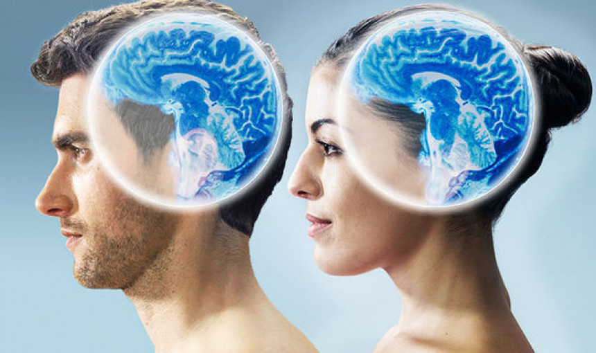 Ženski mozak je tri do četiri godine "mlađi" od muškog