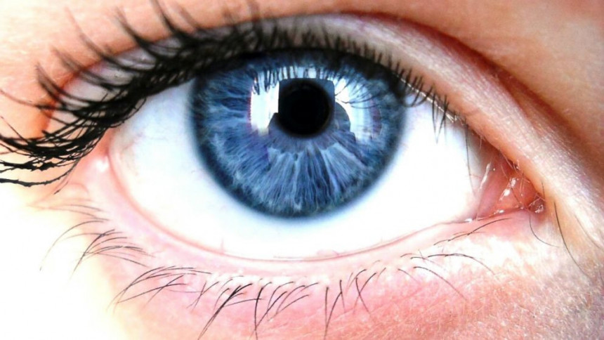 Zašto neki ljudi imaju plave oči?