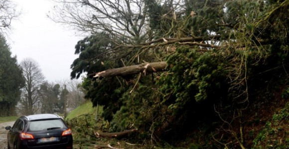 Oluja u Francuskoj, dvije osobe poginule