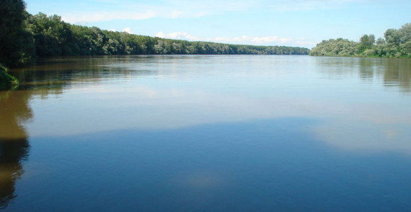 Arheološka riznica na dnu rijeke Save