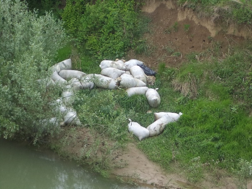Užas: Ekološki incident u Srpcu