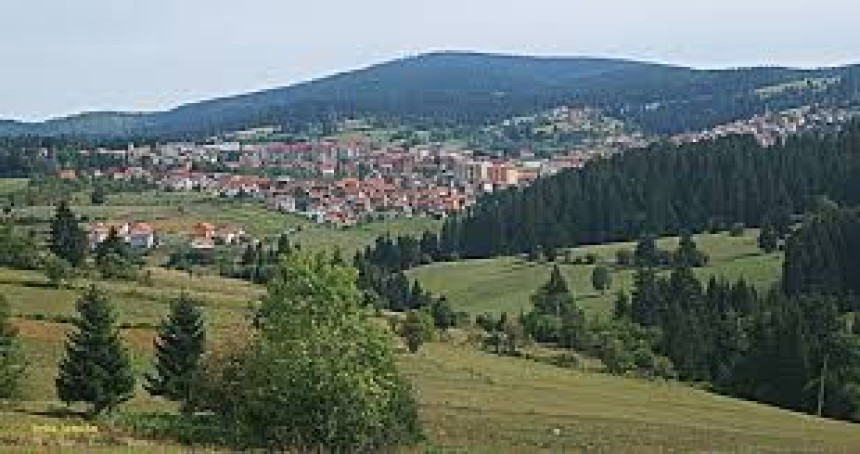 Medvjed hara po Kneževu