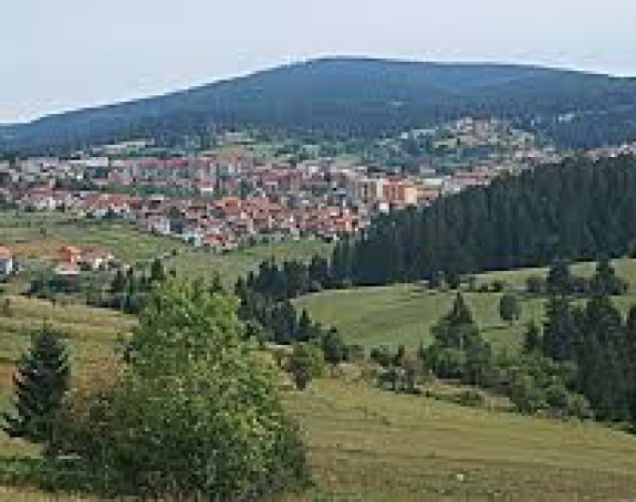 Medvjed hara po Kneževu
